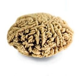 سنگ‌های کلسیمی