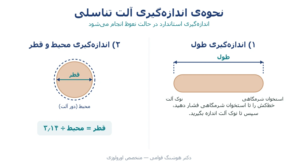 نحوه اندازهگیری قطر و طول آلت تناسلی
